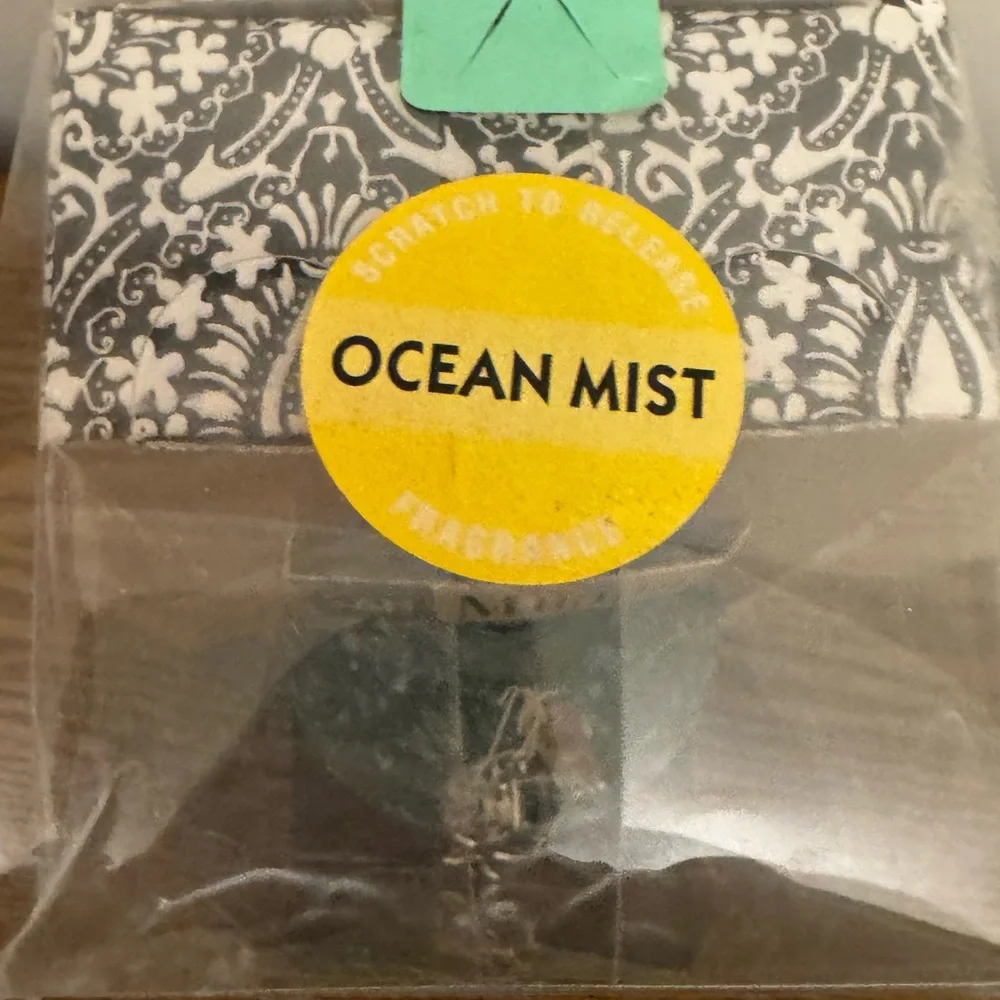 NIB San Miguel Ocean Mist Reed Diffuser Set - Teal Globe Bottle